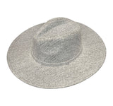 Gray Fedora